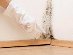 Best Mold Odor Removal Services  in Gretna, LA